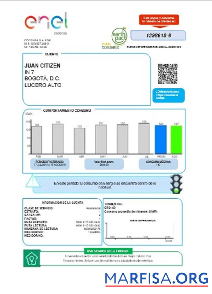 Realistic Colombia ENEL energy utility bill download for verification